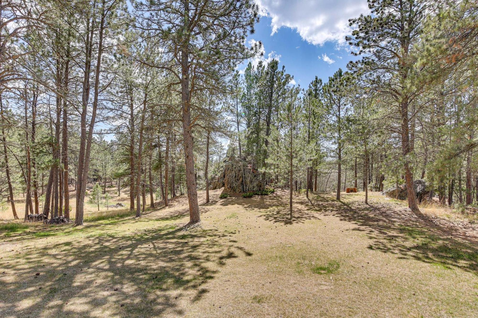 Private Black Hills Home With Corral Horses Welcome Custer Exterior photo