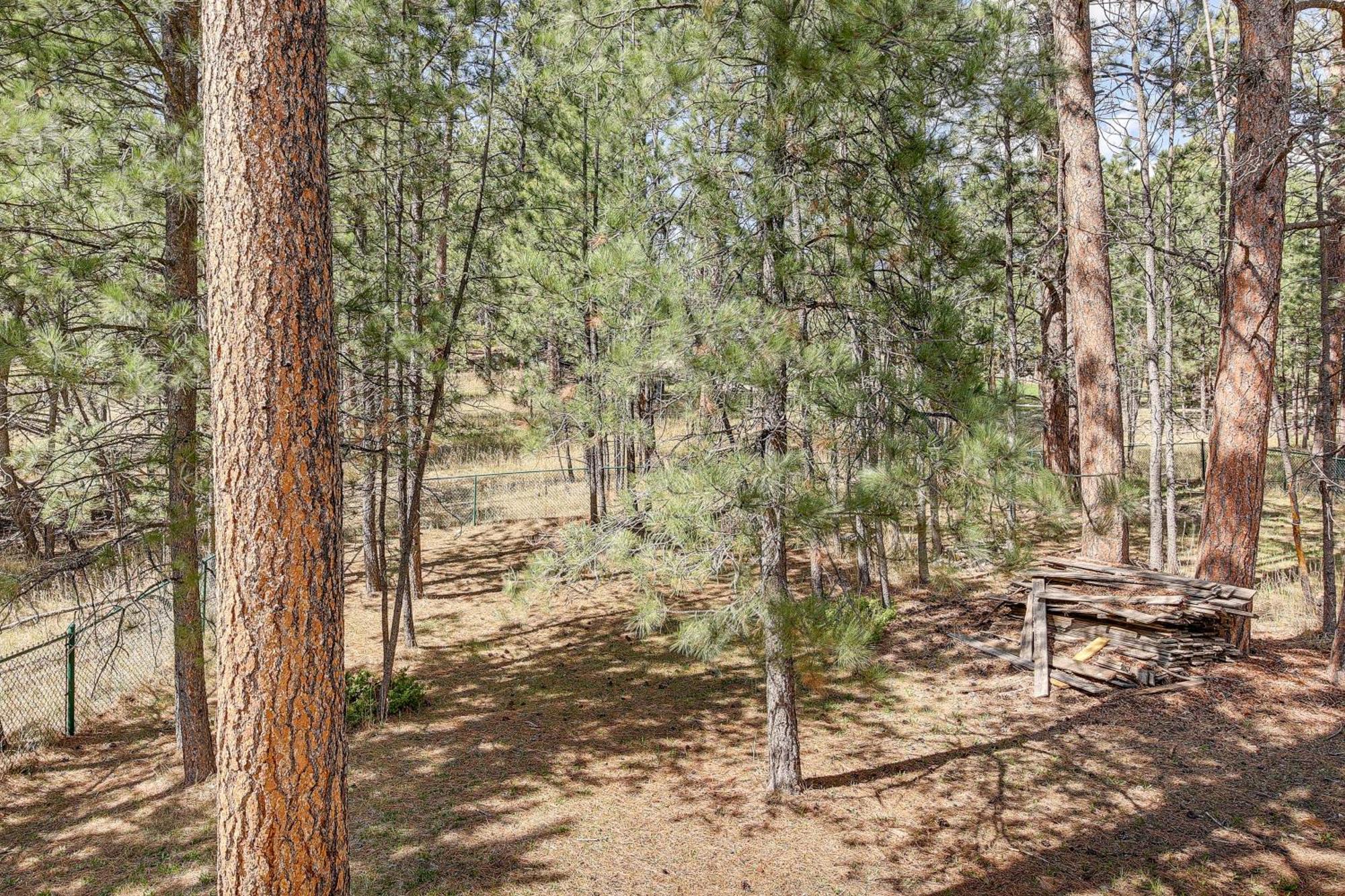 Private Black Hills Home With Corral Horses Welcome Custer Exterior photo